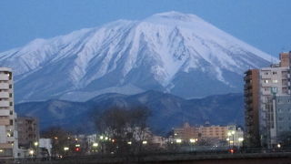 本当に美しい姿