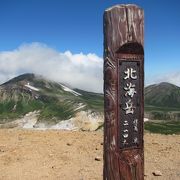 表大雪縦走ルートの主要な分岐点（旭岳・黒岳・白雲岳方面へ）