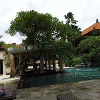 プールバーもあります