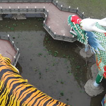 塔の最上階から