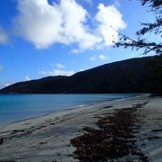 自然豊かな島