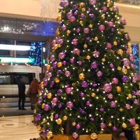 １２月の利用は初めてだったのでクリスマスツリーも初めてです