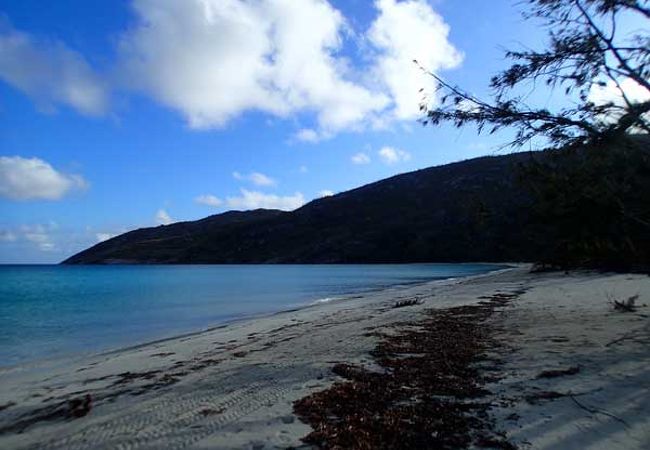 自然豊かな島