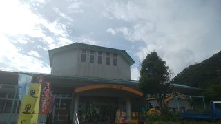 マングローブパークと一体