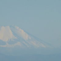 遠くに富士山が見えました