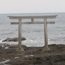 鳥居より太平洋かな