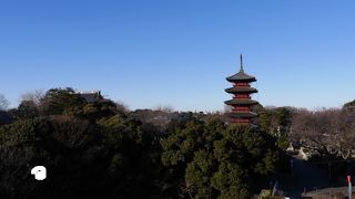 五重塔や周辺の街並みが見られる