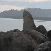 大きい岩に立って、海を見る！