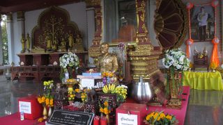 ダン僧がいます