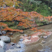 川面に映える紅葉