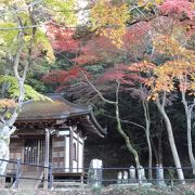 紅葉に映えるお寺