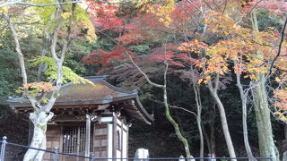 紅葉に映えるお寺
