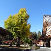 紅葉の絶景