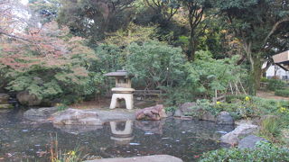 みなとみらい２１地区が見下ろせる素敵な公園です。