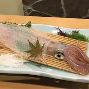 大きいサイズに大満足