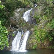 冬場でも水量が多い