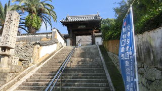 義兄の菩提寺です。日蓮宗。