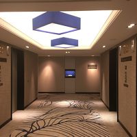 明るくなったエレベーターホール