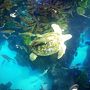 ニューイングランド水族館