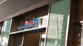 ライズの中にある建物の一つ