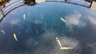 きれいなブルー