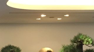 サクララウンジとはやはり違う。