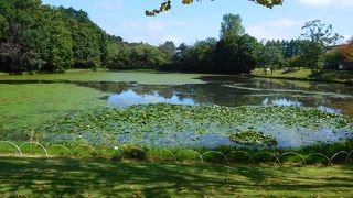 NHK趣味の園芸の放映日に飛んでいきました。