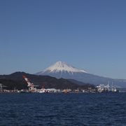 ＪＲ清水駅から東海大学海洋学部博物館に行くのに便利