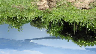 徒歩で登ったら・・・