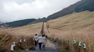 仙石原すすき草原　紅葉が始まった仙石原の散歩道