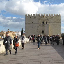ローマ橋から見たカラオーラの塔