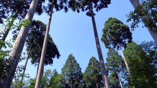 京都大原三千院　あじさい苑　金色不動堂　観音堂 　慈眼の庭　律川　鎌倉時代 石仏（阿弥陀如来像）