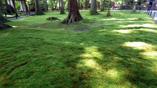 京都大原三千院　朱雀門　宝物館　円融房　呂川茶屋