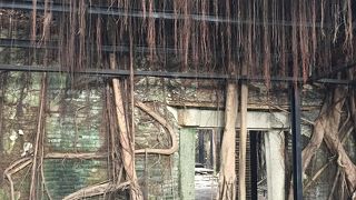 バスで簡単アクセス