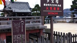 ここのハトの餌やリがエキサイティングです。。