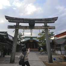 張り切って小銭を投げています。入るかな？