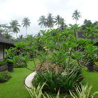 ホテルの中庭です