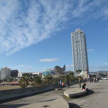 タワービルの左にある魚型オブジェ