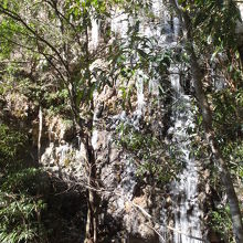 こちらは本堂の左の階段を上がり、橋を渡る手前で見られる