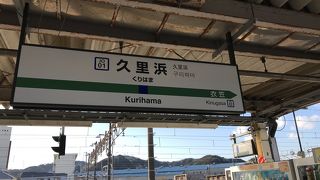 JR横須賀線:軍事・観光線