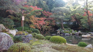 広さ、美しさなどはごく普通