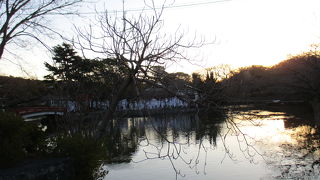 三の鳥居から鶴岡八幡宮へ入るとすぐに　源平池があります