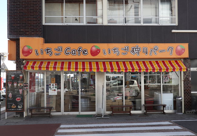 いちご狩り海岸通り クチコミ アクセス 営業時間 静岡市 葵区 駿河区 フォートラベル