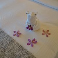 ベッドのタオル