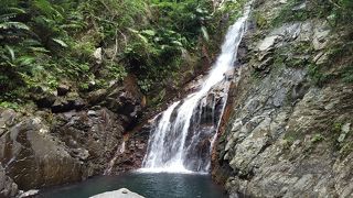 やんばるの森。すばらしい。