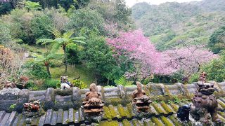 超雰囲気がよい、が外国人観光客多し