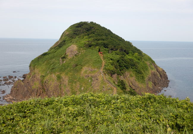 立ち入り禁止で残念