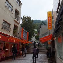 見上げたところ。