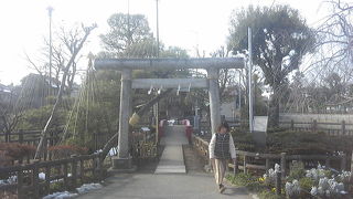 きちんと、お参り