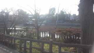 冬の碑文谷公園